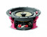 Focal Custom 300